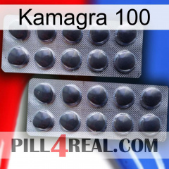 Kamagra 100 31